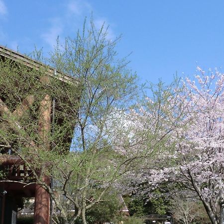 Lassy Condominium Kumamoto Extérieur photo