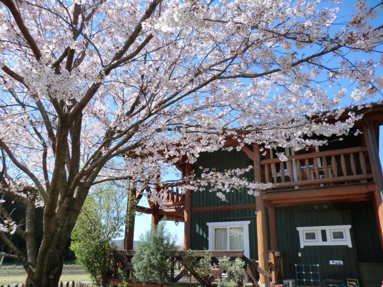 Lassy Condominium Kumamoto Extérieur photo